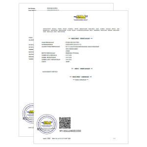 Terminate SSM – Assisted Service